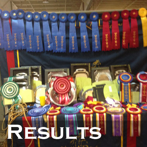 Peruvian Horse Show Results