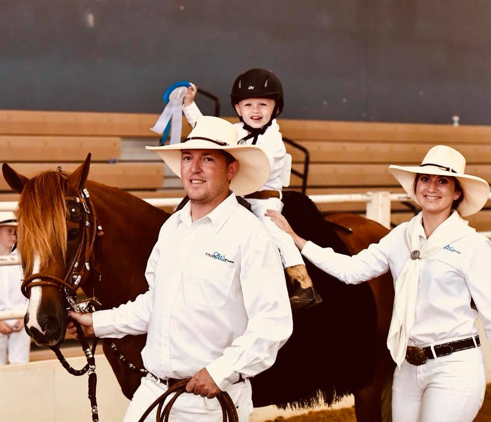 Family Photo Peruvian Horses