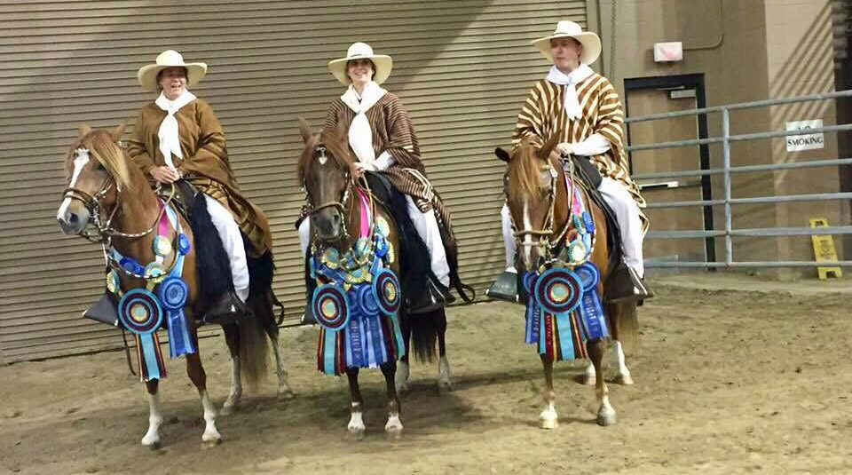 Central States/Southwest Peruvian horse show