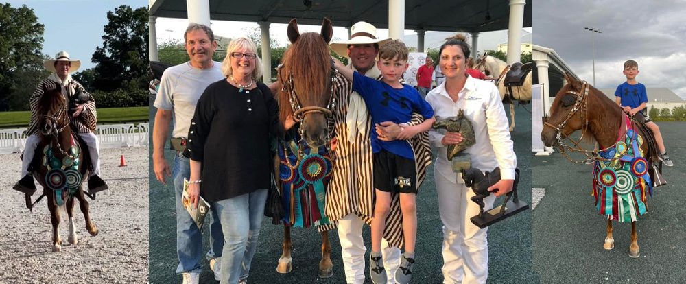 World/South West Show Show