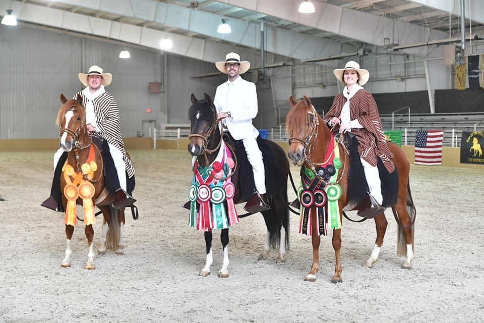 2021 Gait Away Award Winning Horses